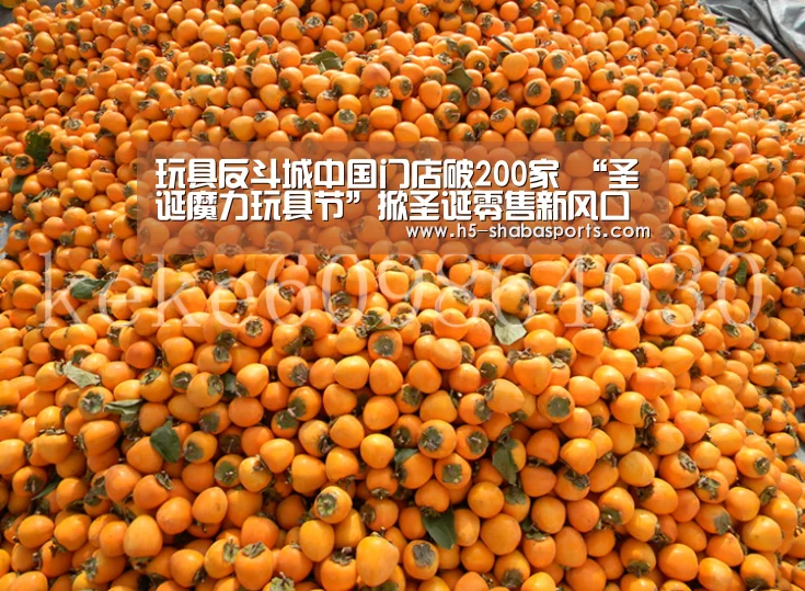 沙巴足球