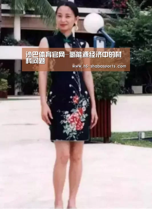 沙巴体育官网-氢能源经济中的材料问题(图1) 沙巴体育官网