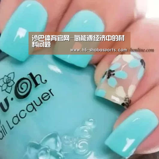 沙巴体育官网-氢能源经济中的材料问题(图4) 沙巴体育