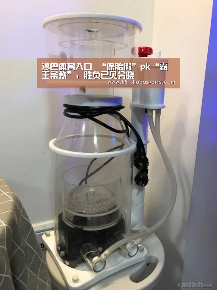 沙巴体育
