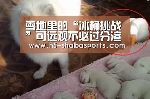 雪地里的“冰桶挑战”可远观不必过分渲染|沙巴足球(图4) 沙巴体育官网