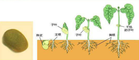 沙巴体育官网