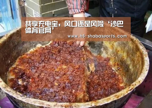 共享充电宝,风口还是风险‘沙巴体育官网’(图1) 沙巴体育入口