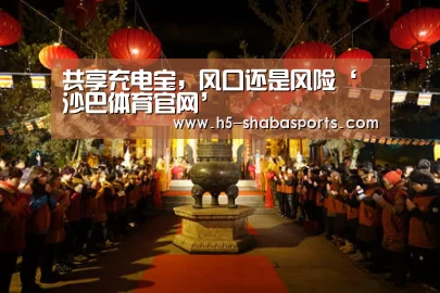 共享充电宝,风口还是风险‘沙巴体育官网’(图4) 沙巴体育官网